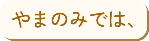 やまのみでは、